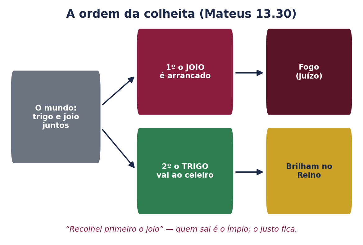 Figura 6 — Na colheita, o joio sai primeiro; o trigo é guardado.
